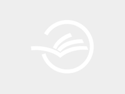 Batavus Bryte Heren bruin 61cm 2020 TWEEDEHANDS